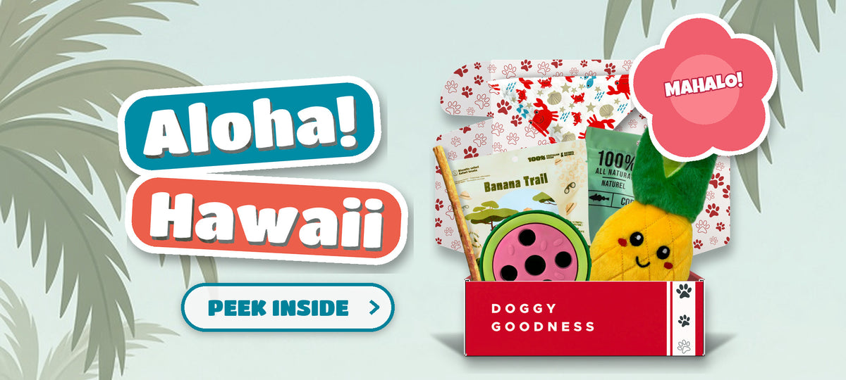 Aloha Hawaii themed WoofCrate dog box with toys and treats, Peek Inside