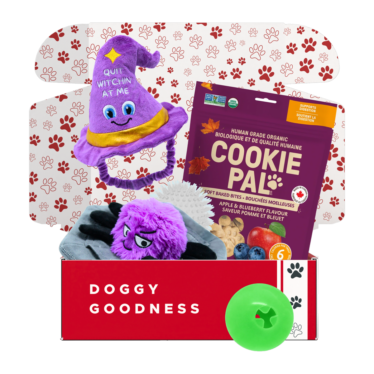 Bewitched Halloween dog box with witch hat and spider web plush toys, CookiePal Apple & Blueberry bites and a green SodaPup glow ball