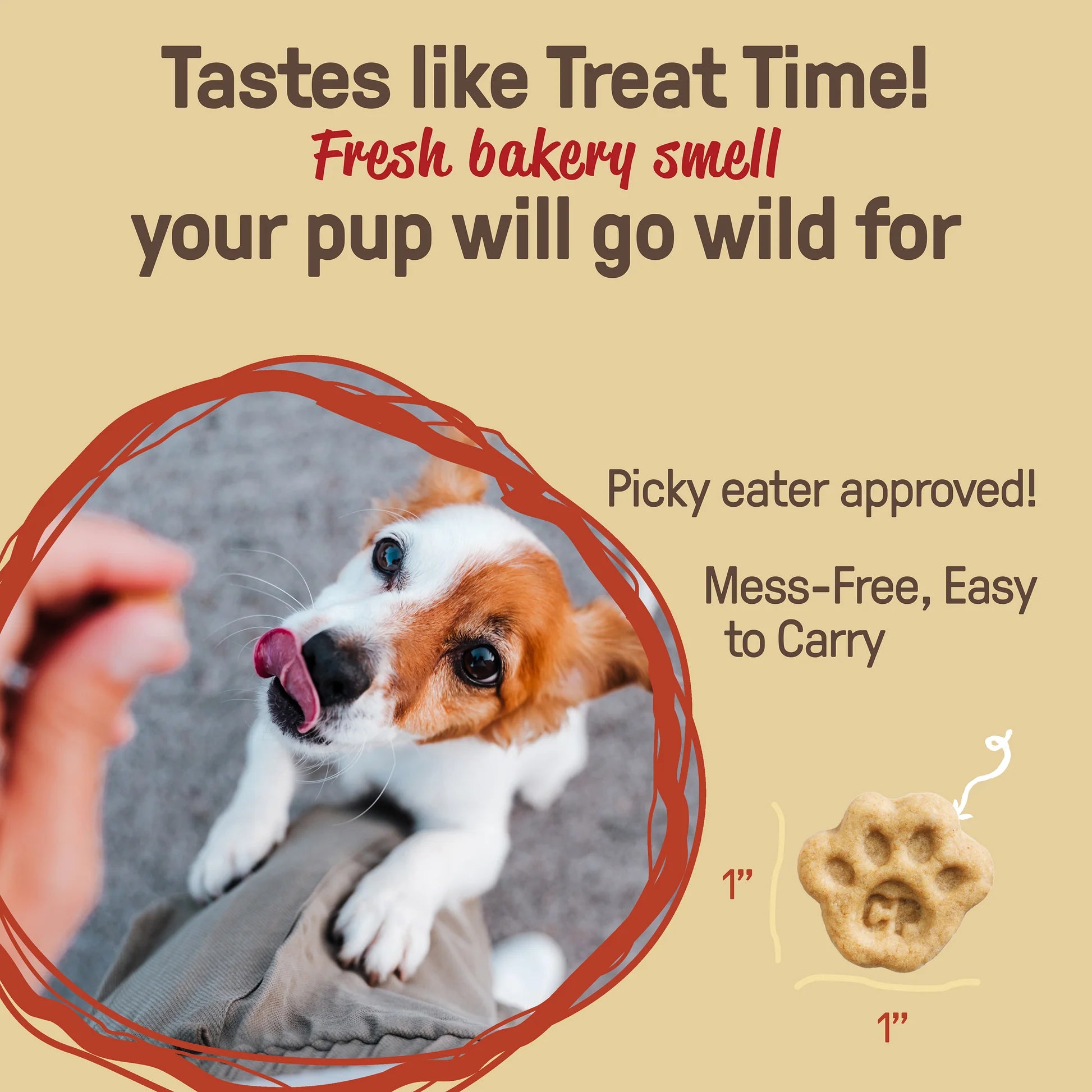 CookiePal Pumpkin Spice 'N Everything Nice