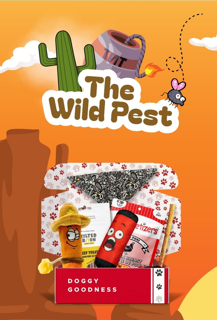 WoofCrate Wild Pest dog subscription box, featuring Wild West-themed toys, treats, and a paisley dog bandana