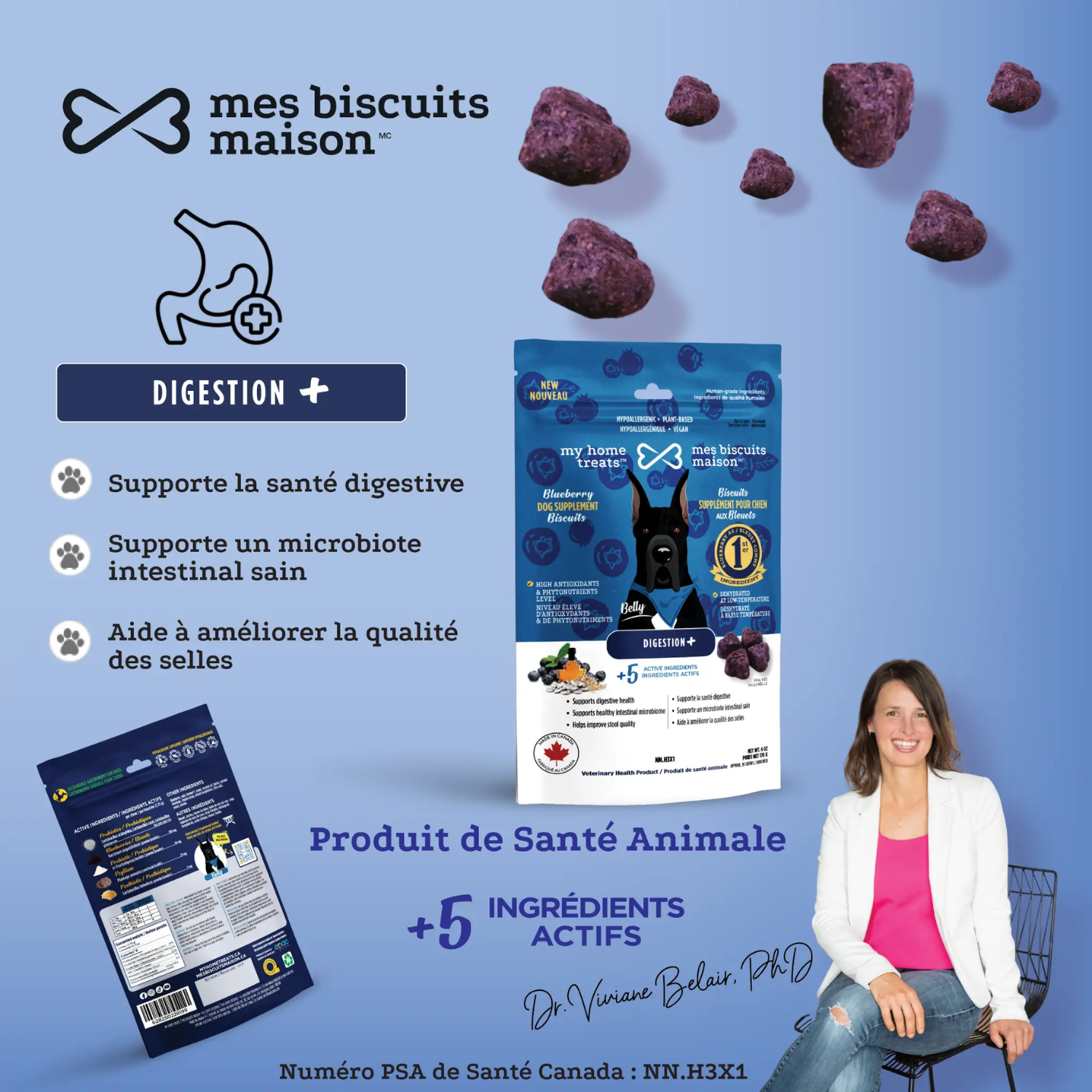 Friandise naturelle pour la digestion et la santé intestinale des chiens