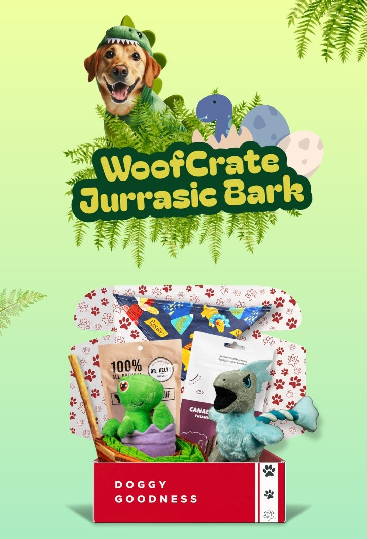WoofCrate’s ‘Jurassic Bark’ box with dinosaur plush toys, all-natural dog treats, a chew stick, and a dino-print bandana