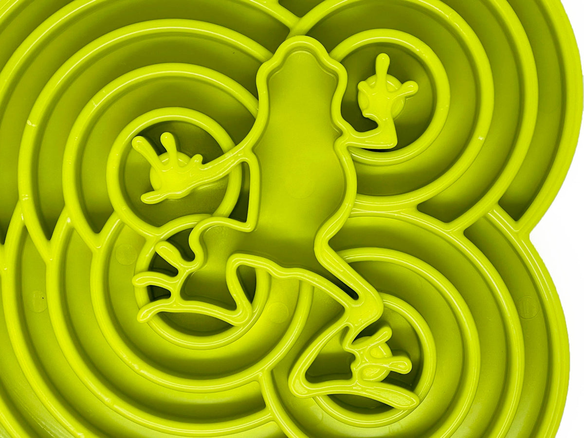 Angled view of the green Water Frog eTray