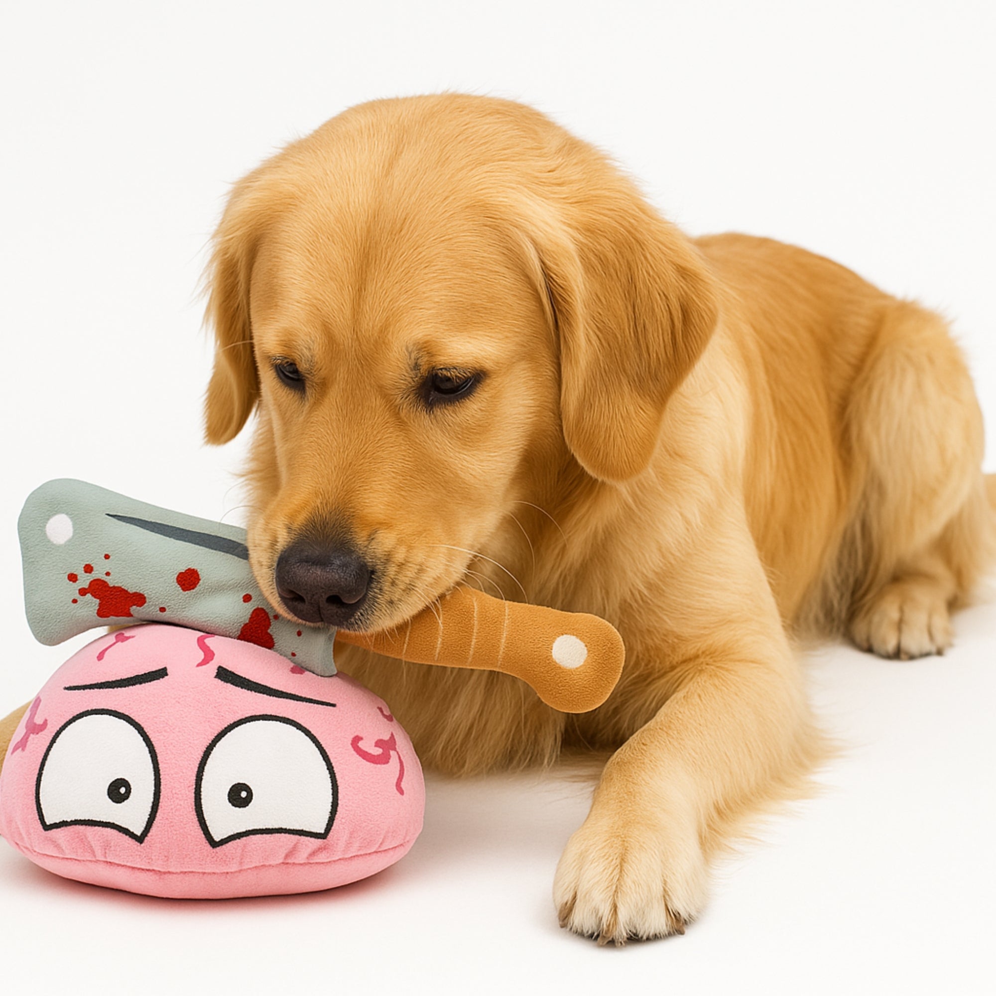 A golden retriever playing with a quirky brain-shaped plush toy with a knife prop