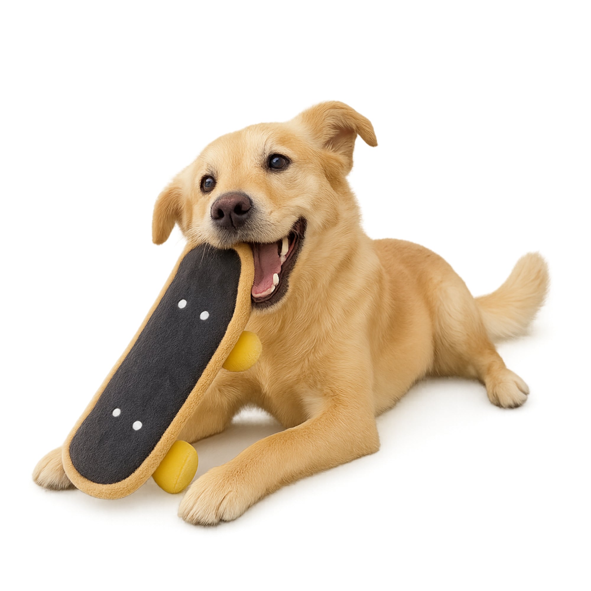 Happy golden retriever puppy lying down and holding a plush skateboard toy from WoofCrate