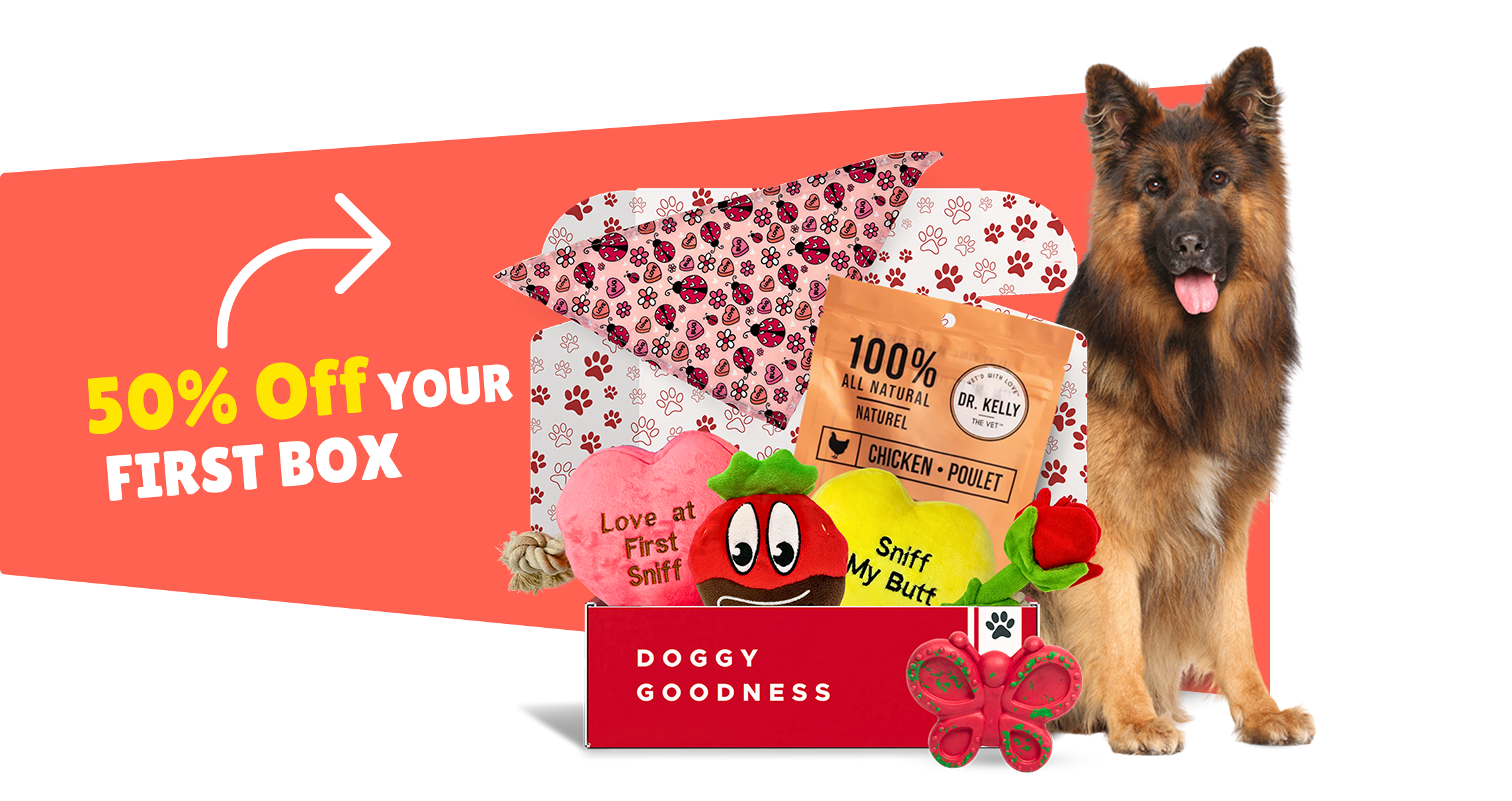 Dog subscription box with treats, plush toys, and a 50% discount banner, starring a German Shepherd beside the box