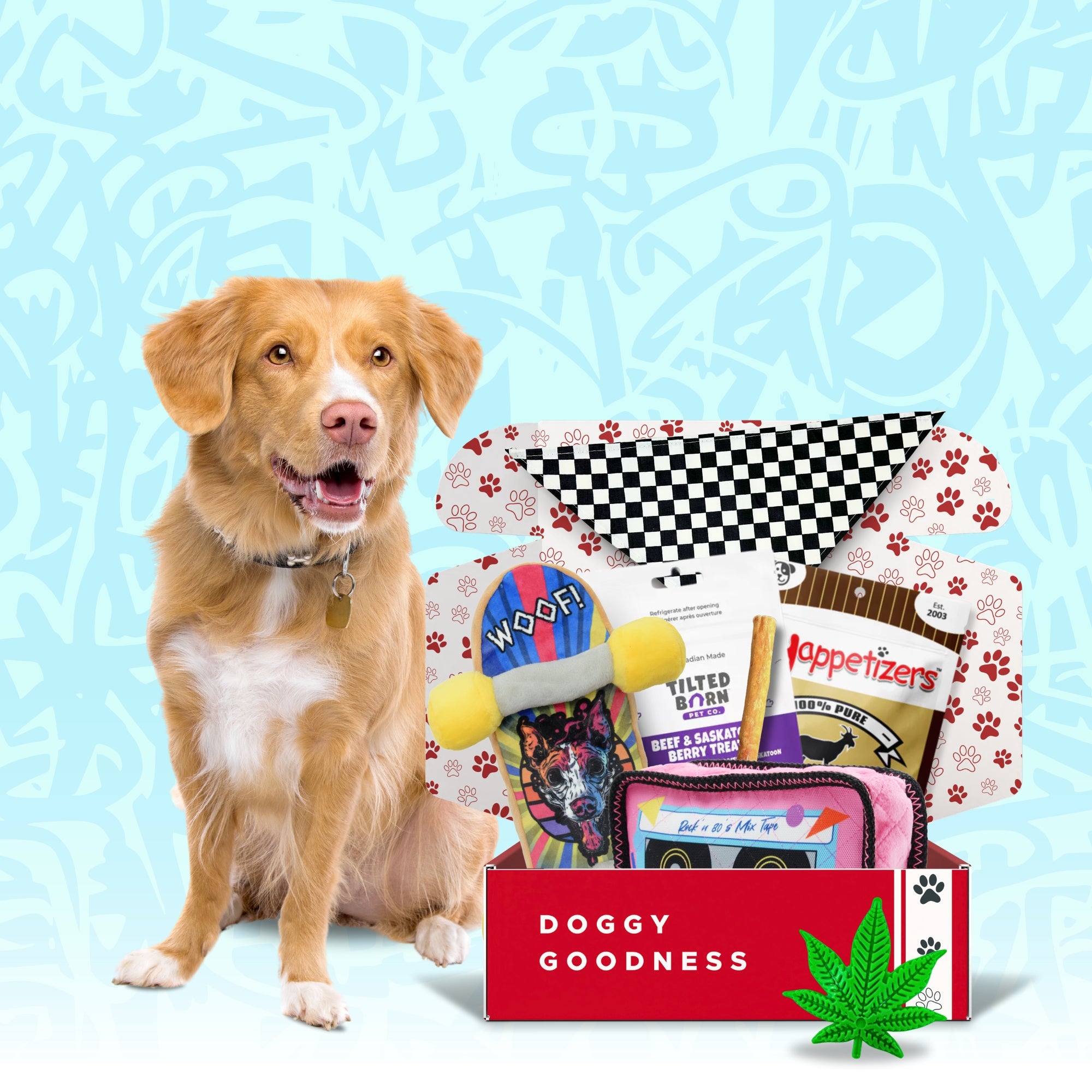 Happy dog next to a WoofCrate subscription box filled with toys, treats, and accessories for dogs