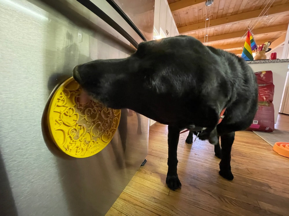 Black dog licking a Duckies lick mat stuck to a wall with its suction cups