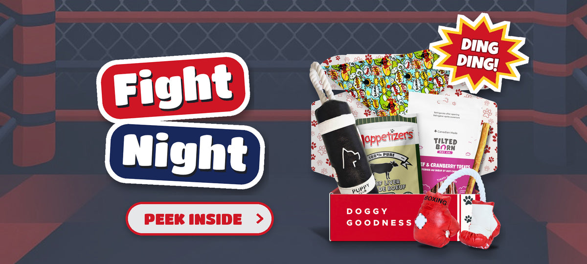 Fight Night boxing themed WoofCrate dog box with toys and treats, Peek Inside