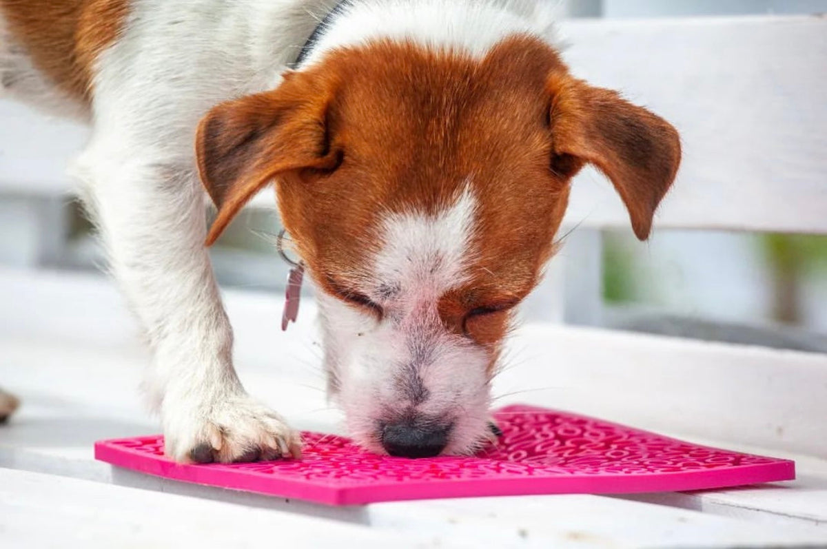 Dog licking a pink Flower Power lick mat