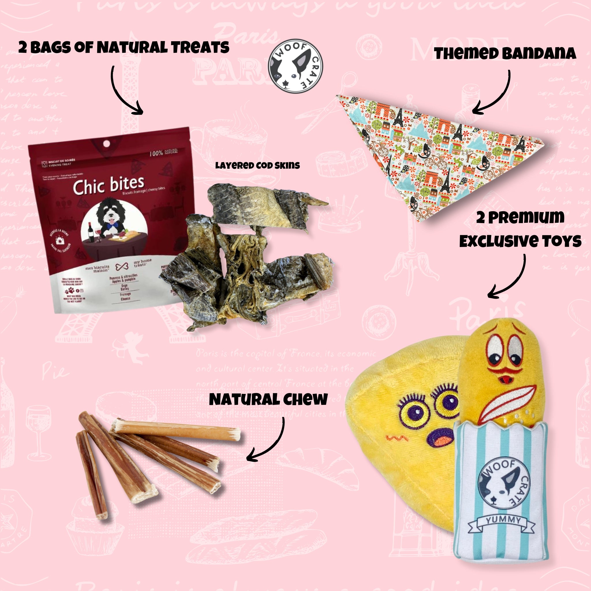 Coffret pour chien sur le thème d'un voyage à Paris