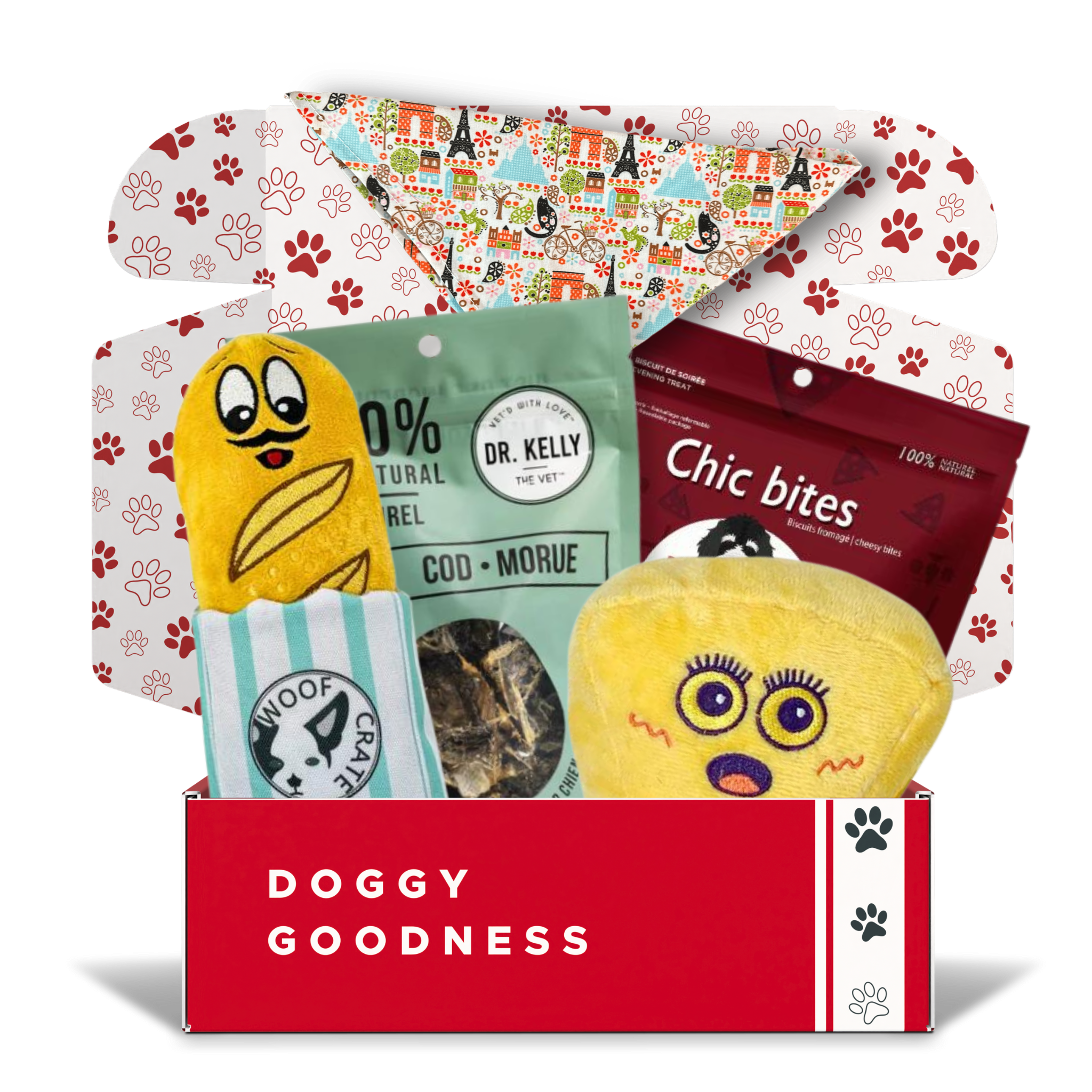 Coffret pour chien sur le thème d'un voyage à Paris