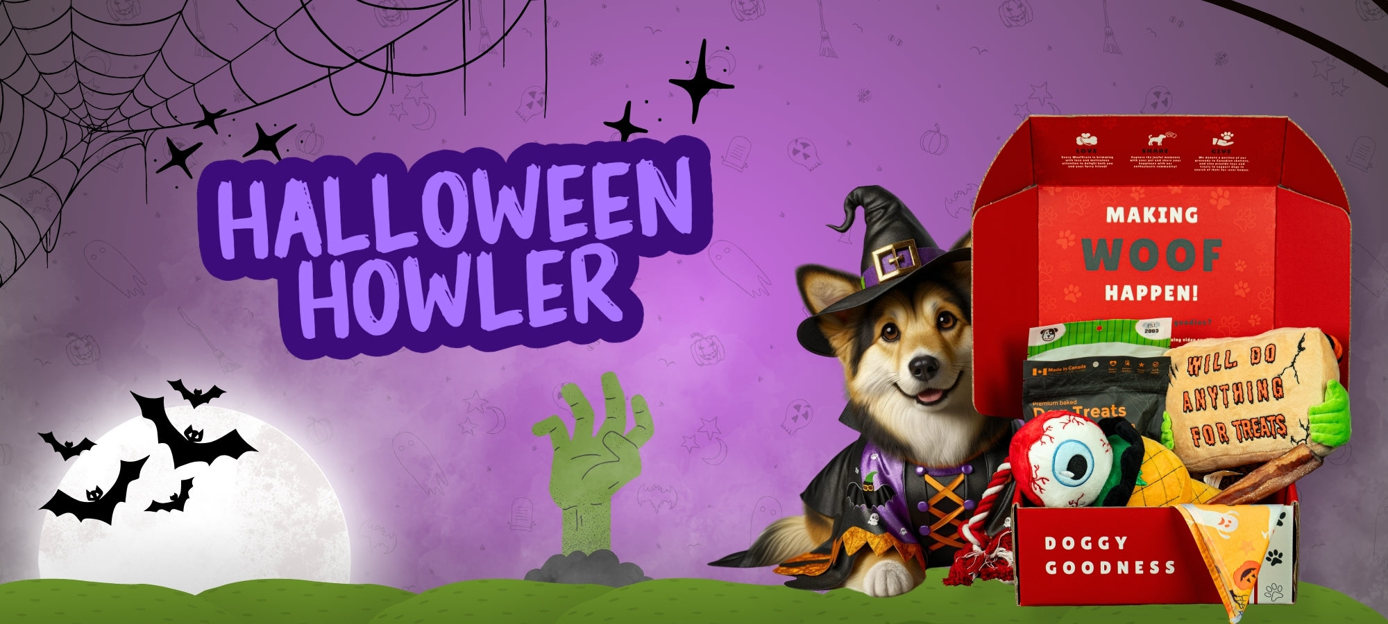 Corgi in witch costume posing with Halloween Howler WoofCrate filled with themed toys and crunchy dog treats