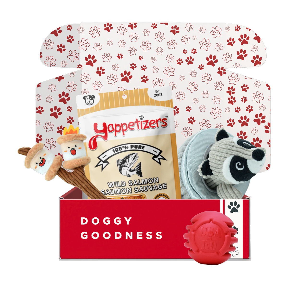 Happy Camper camping dog box with s'mores and raccoon garbage can plush toys, Yappetizers wild salmon treats and a red SodaPup USA-K9 ball