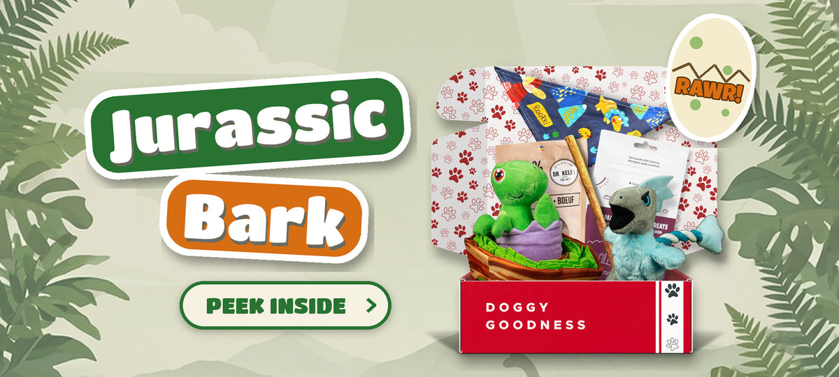 Jurassic Bark dinosaur themed WoofCrate dog box with toys and treats, Peek Inside