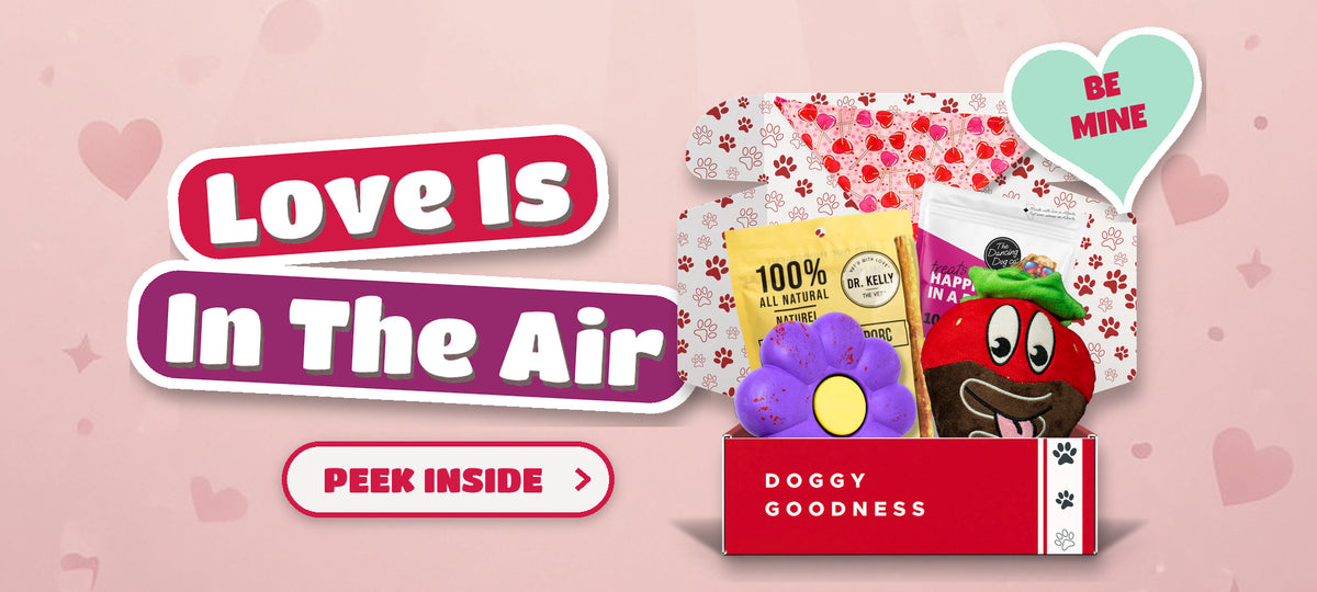 Love Is In The Air Valentine's themed WoofCrate dog box with toys and treats, Peek Inside
