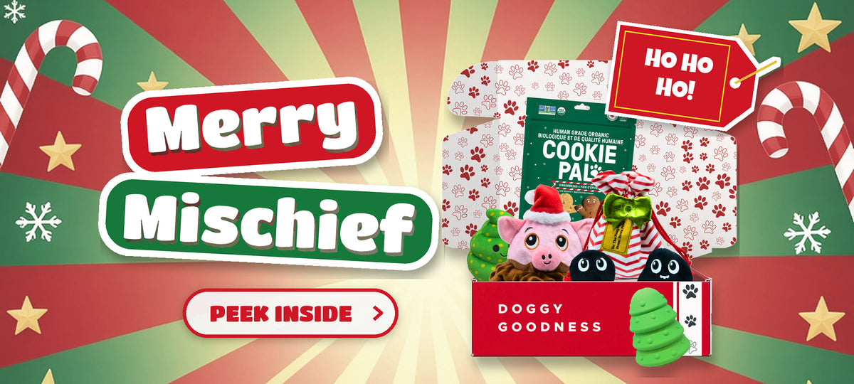 WoofCrate Merry Mischief Christmas themed dog subscription box with dog toys and treats