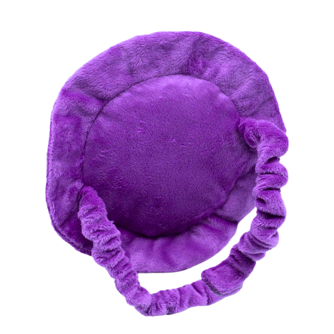 Wearable Witch Hat Dog Toy – Squeaks & Crinkles