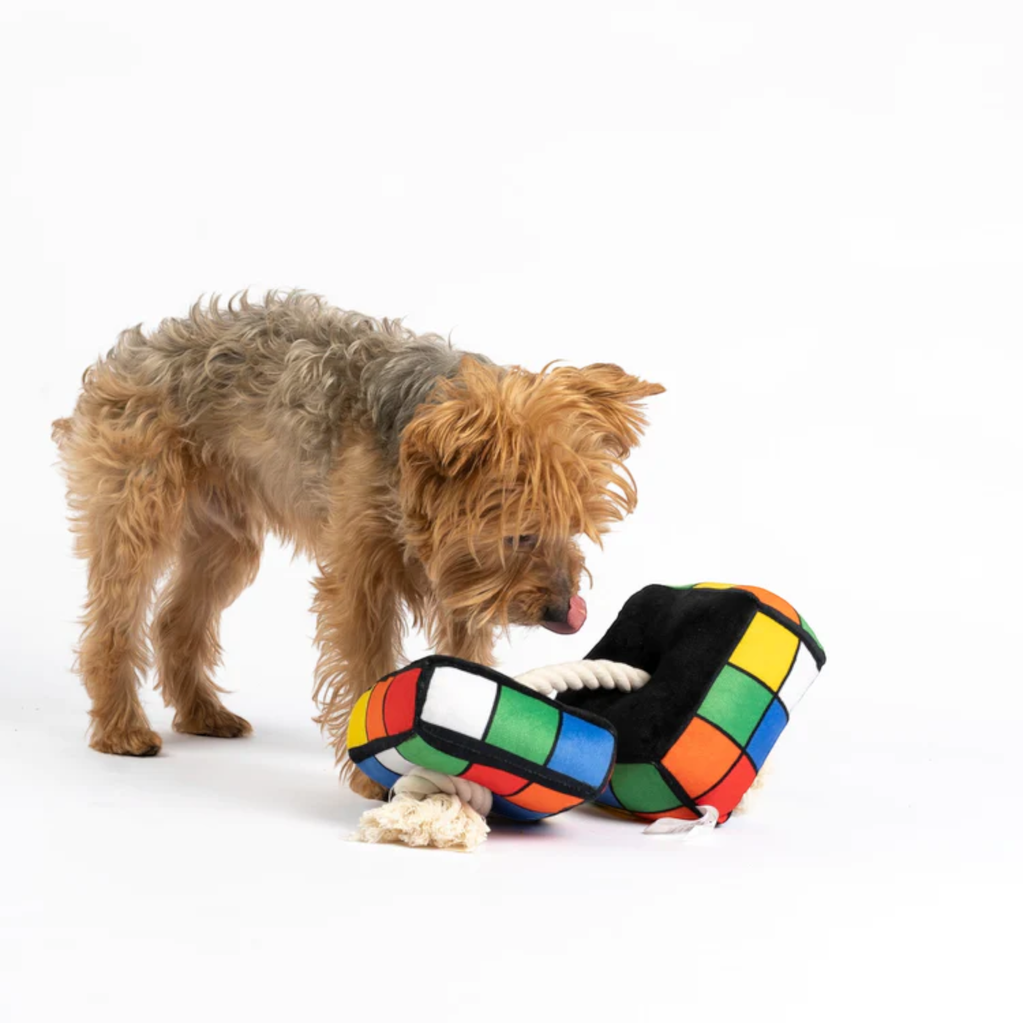 Jouet pour chien Robix Cube