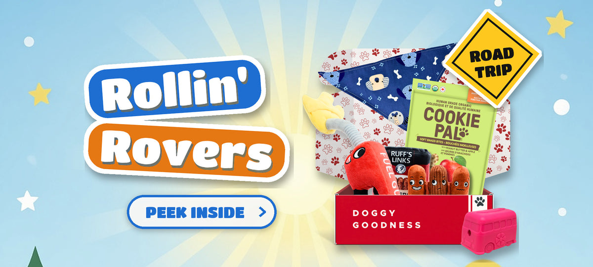 WoofCrate Rollin' Rovers road trip themed dog subscription box with dog toys and treats
