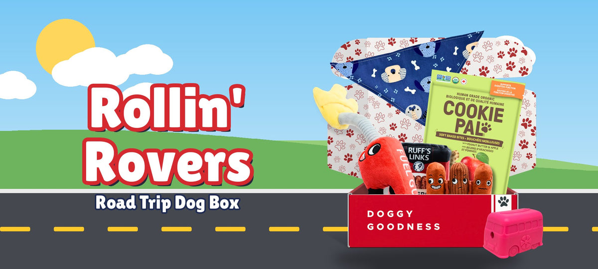 Rollin' Rovers road trip dog box on a sunny road trip background