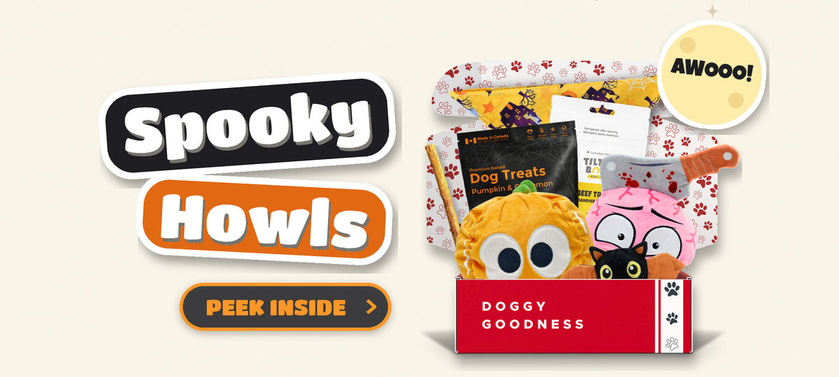 Spooky Howls Halloween themed WoofCrate dog box with toys and treats, Peek Inside