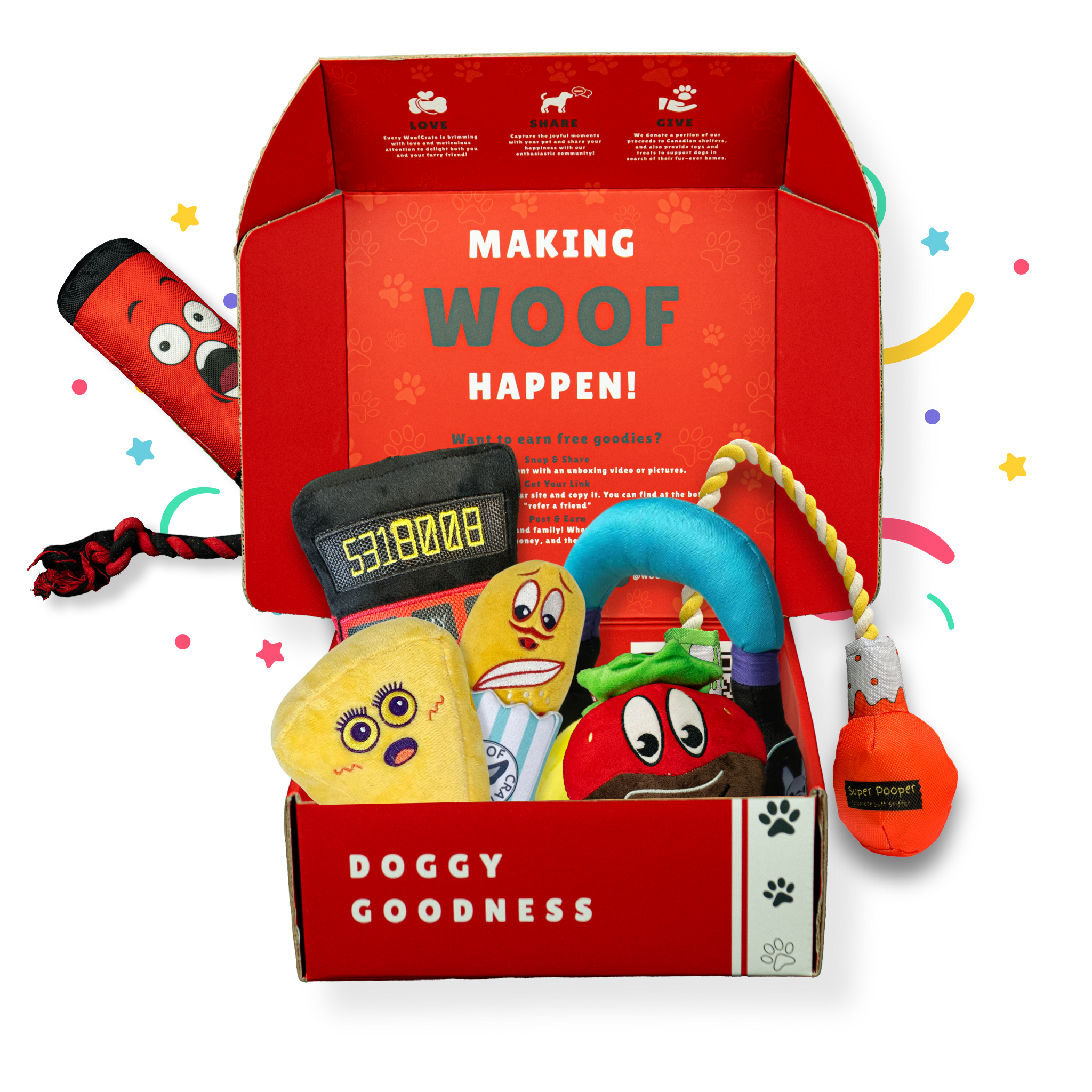 Boîte surprise de jouets en peluche pour chien