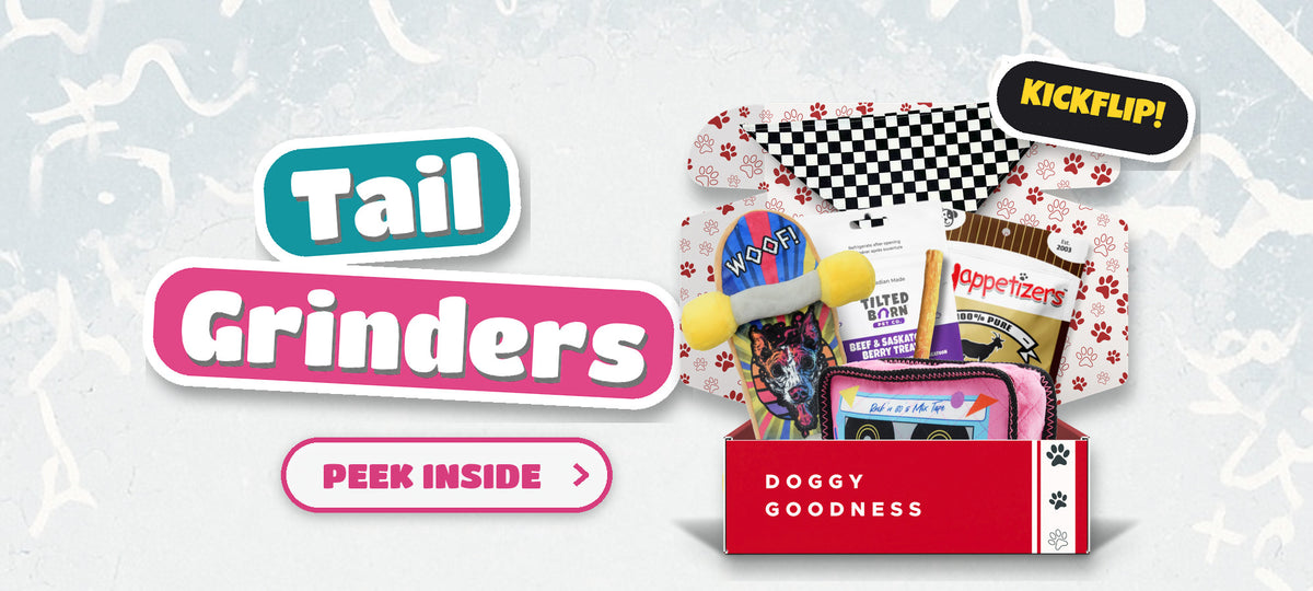 Tail Grinders skateboard themed WoofCrate dog box with toys and treats, Peek Inside