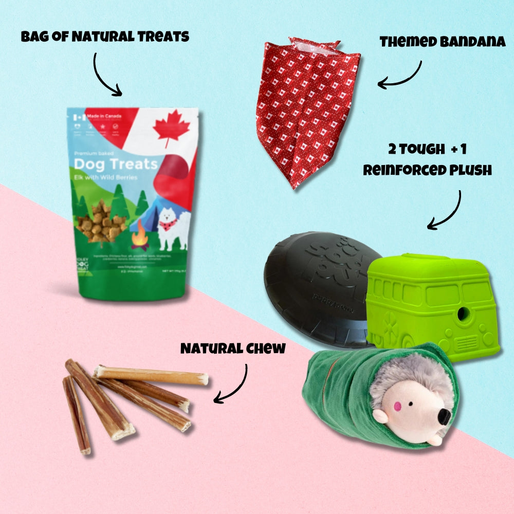 1 treat bag, a red patterned bandana, 2 tough + 1 reinforced plushies, and several natural chew sticks