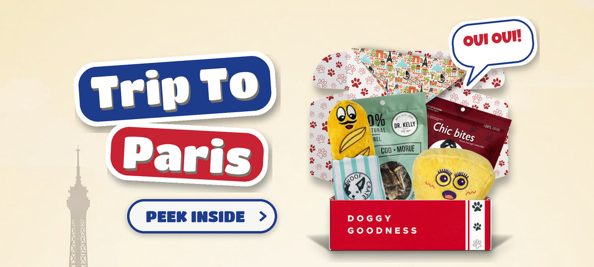 Trip To Paris French themed WoofCrate dog box with toys and treats, Peek Inside