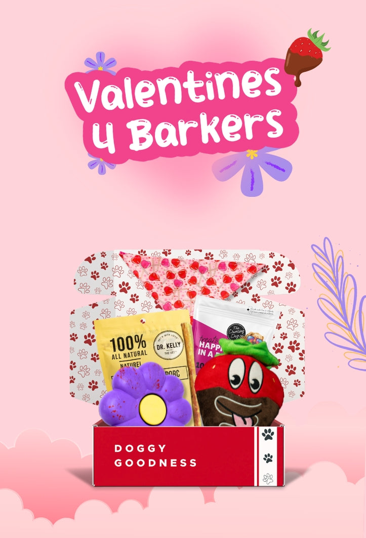 Doggy Goodness Valentine’s edition box with Dr. Kelly’s treats, plush flower toy, and a tomato-faced plushie