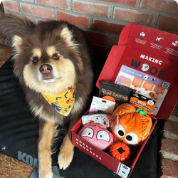 Happy dog in a yellow bandana beside a WoofCrate box with plush toys, dog treats, and festive accessories