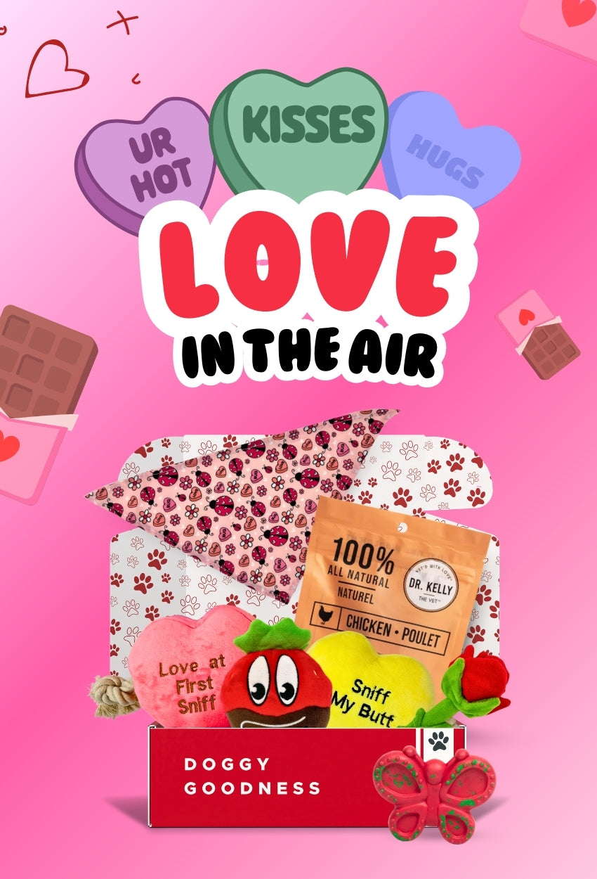 WoofCrate’s ‘Love is in the Air’ dog box with Valentine’s toys, Dr. Kelly chicken treats, and festive dog accessories