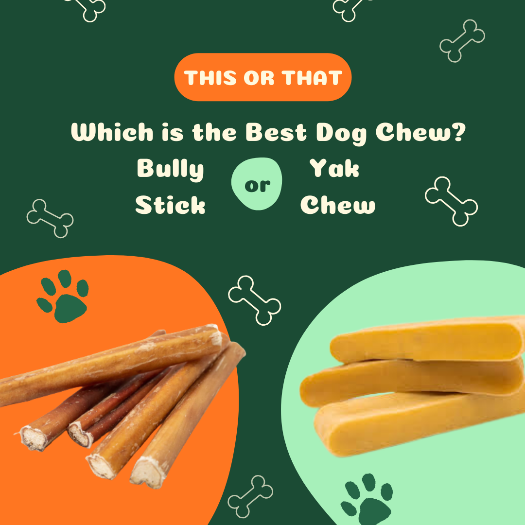 bully stick vs yak chew