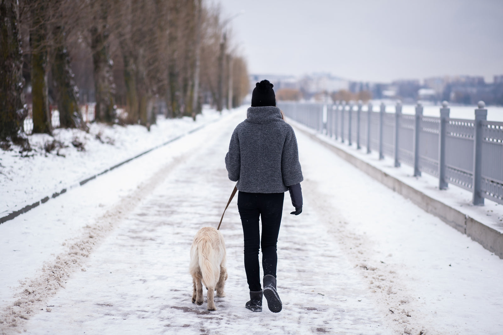 owner walking dog in winter