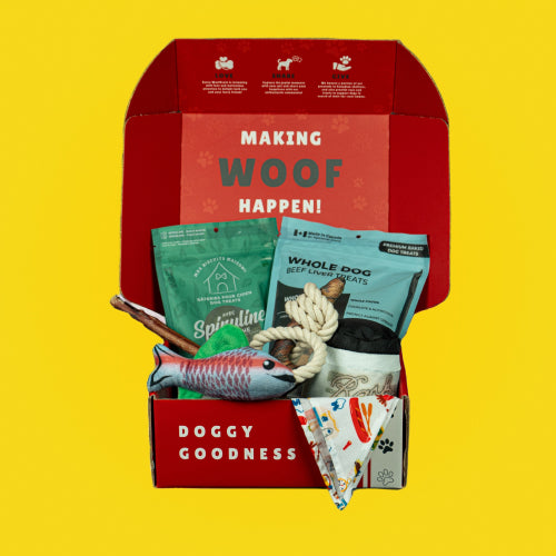 Dog Subscription Box for All Pups – WoofCrate