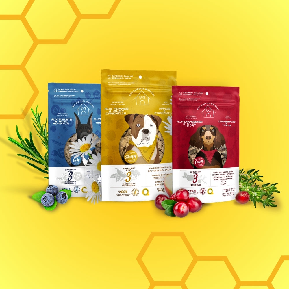 Natural Supplement Dog Treats