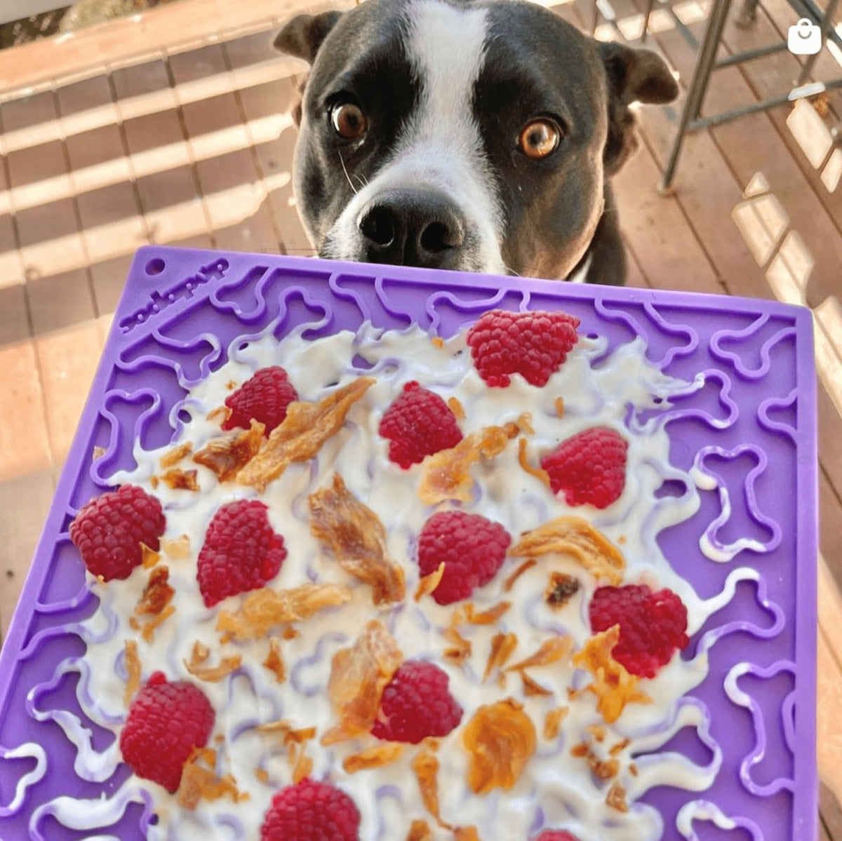 Tapis à lécher pour chien Purple Bones