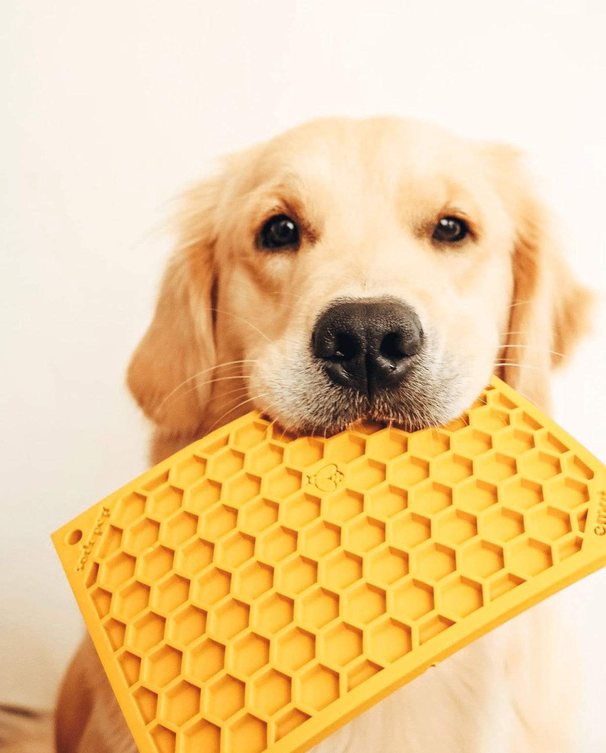 Tapis à lécher pour chien Honey Comb