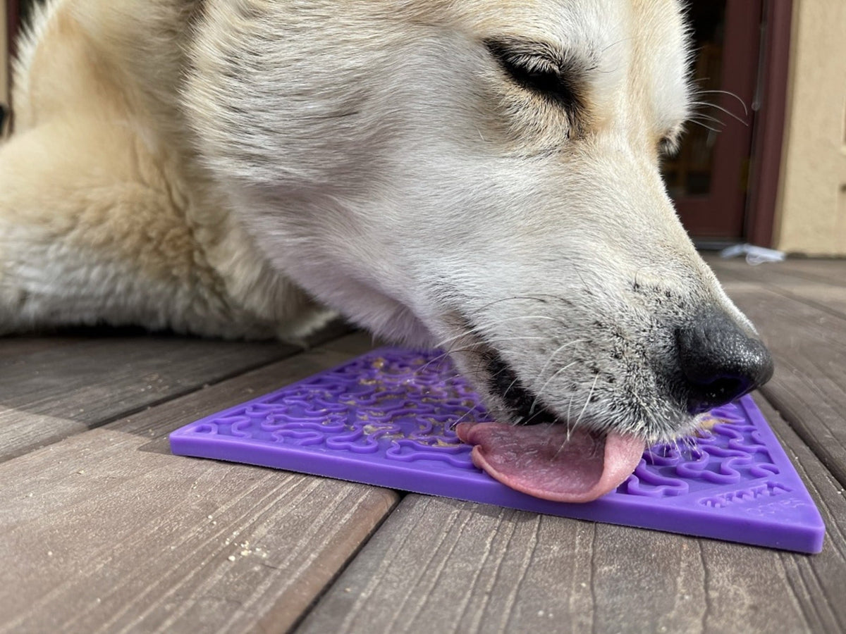 Tapis à lécher pour chien Purple Bones