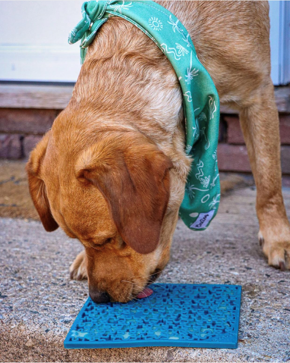 Jigsaw Dog Enrichment Lick Mat