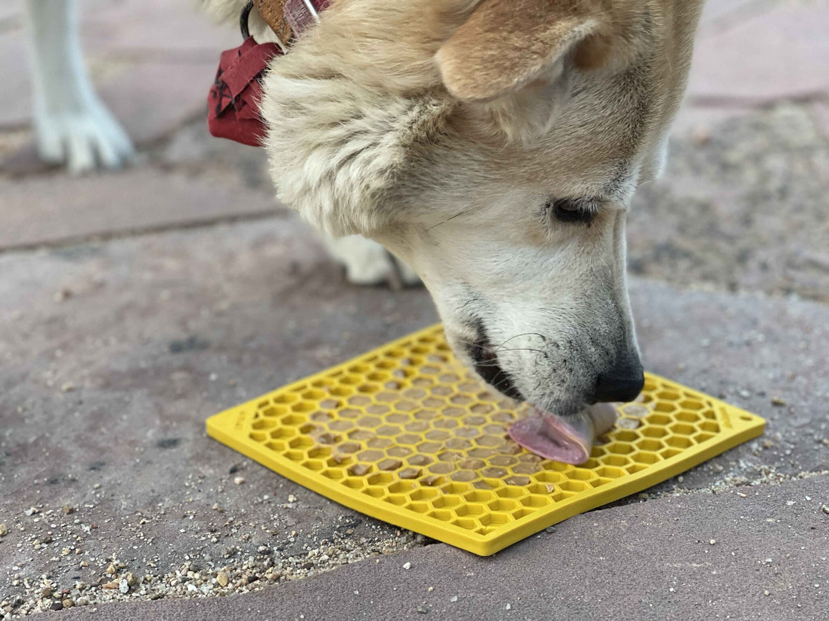 Tapis à lécher pour chien Honey Comb