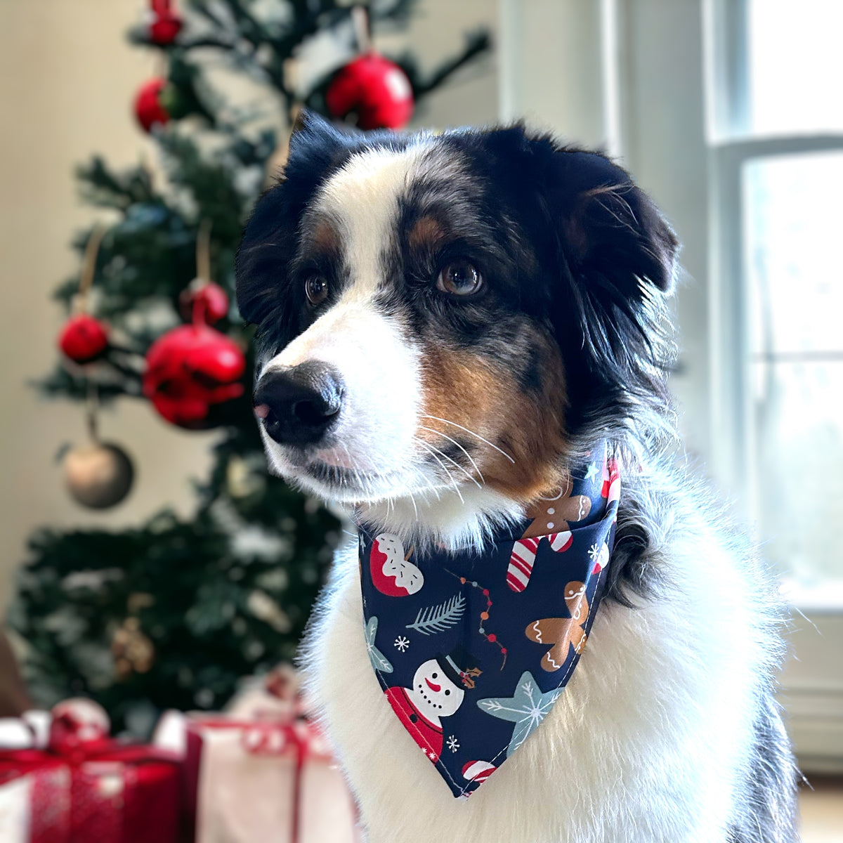 Bandana de Noël pour chien