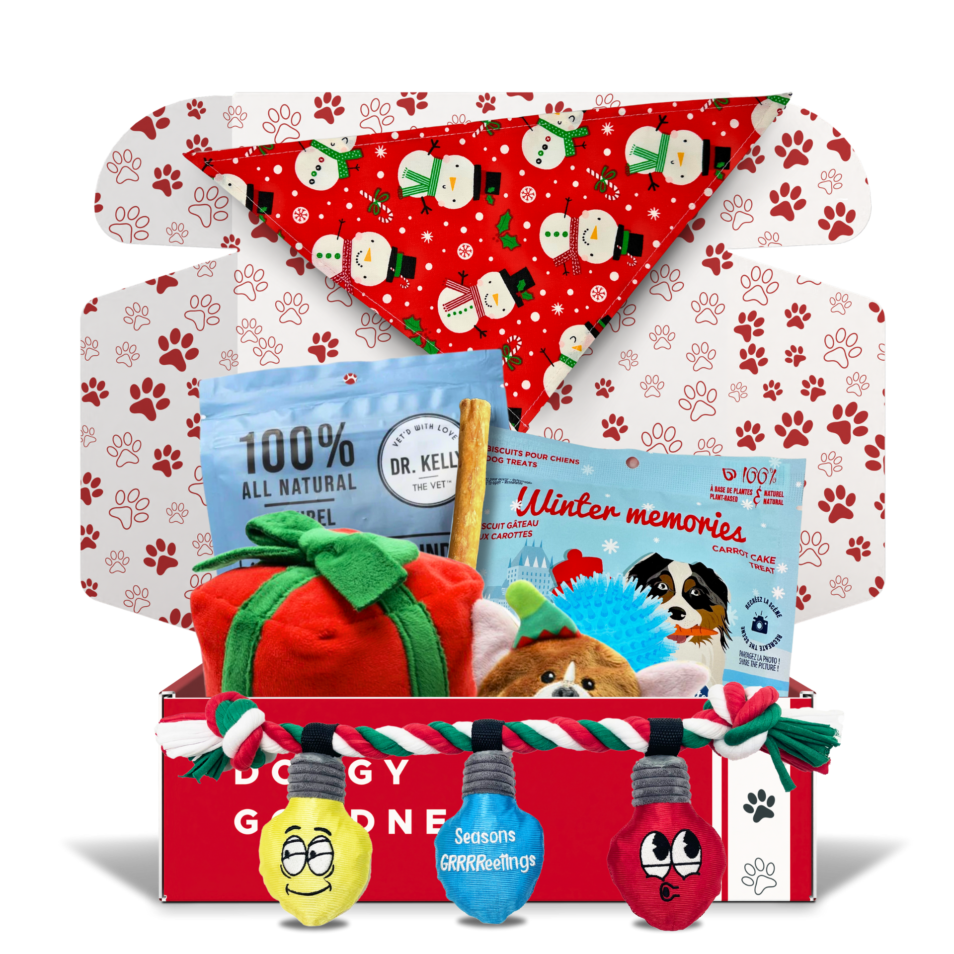 Deluxe Christmas Gift Themed Dog Box - WoofCrate