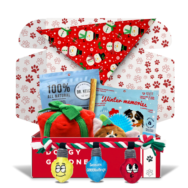 Deluxe Christmas Gift Themed Dog Box - WoofCrate
