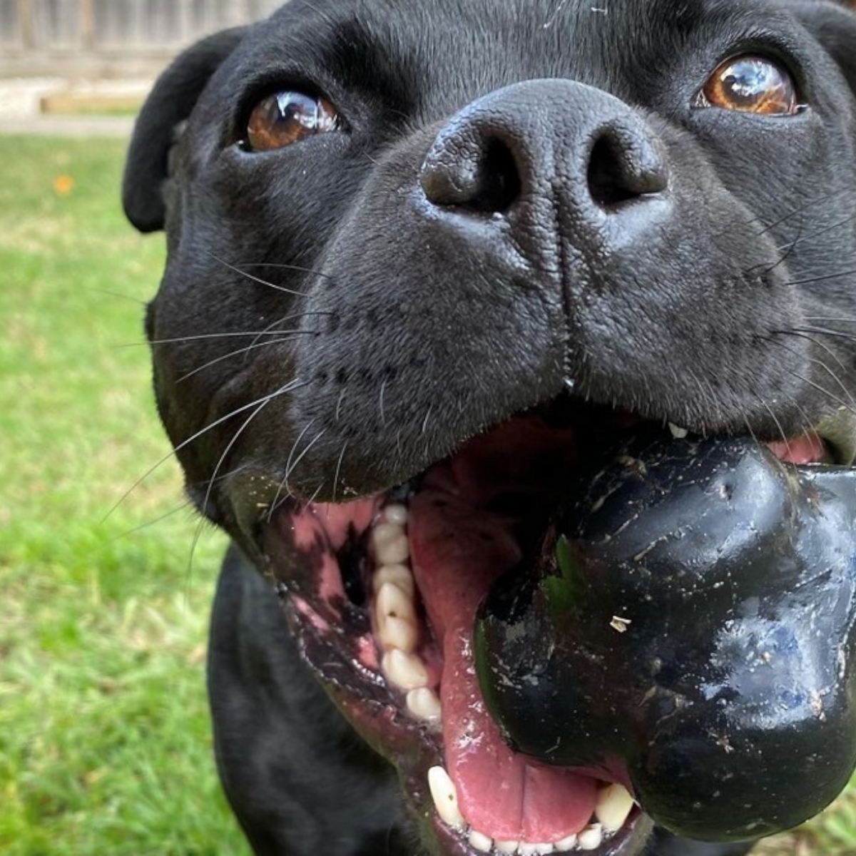 Crazy Bouncy Ball