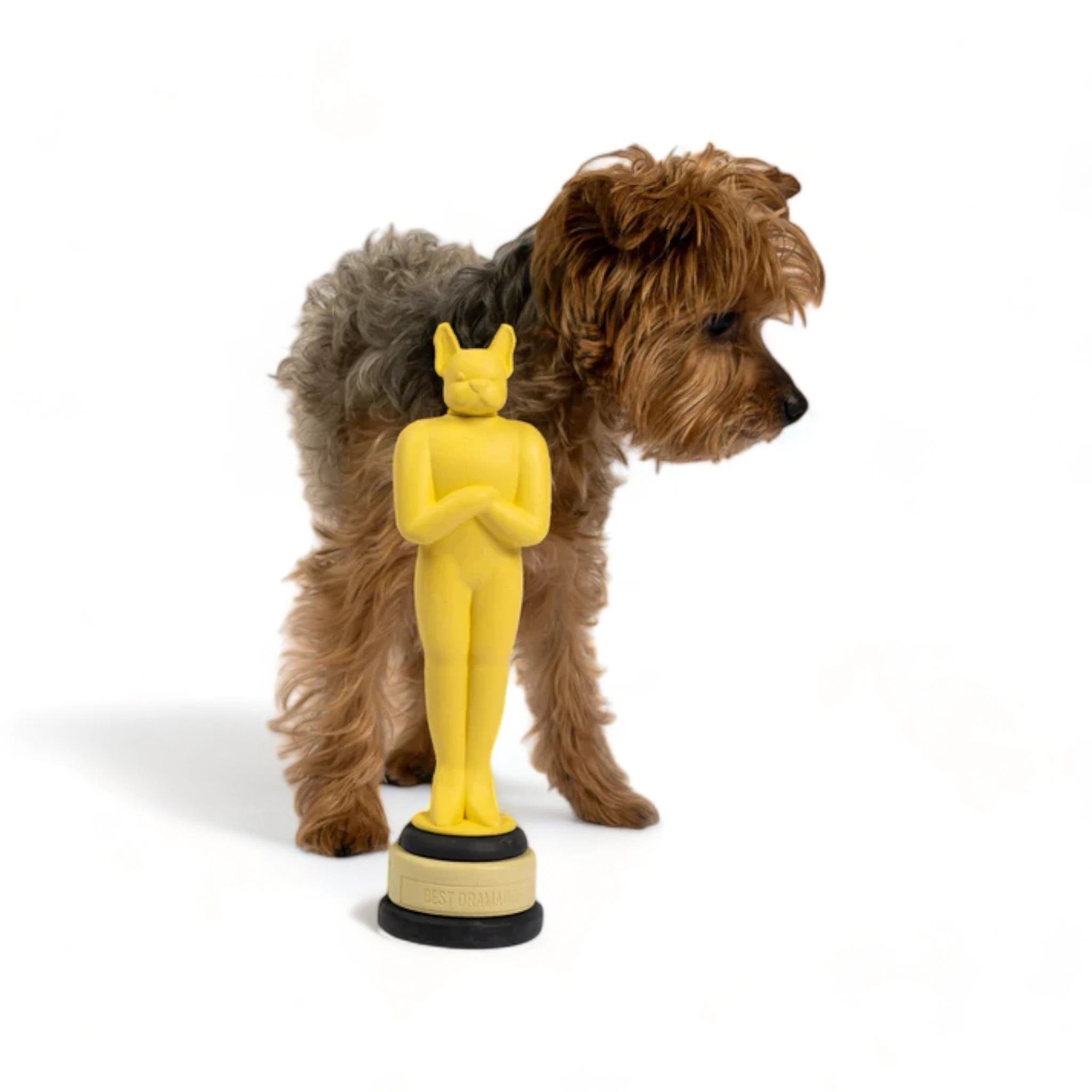 Jouet en caoutchouc pour chien Award