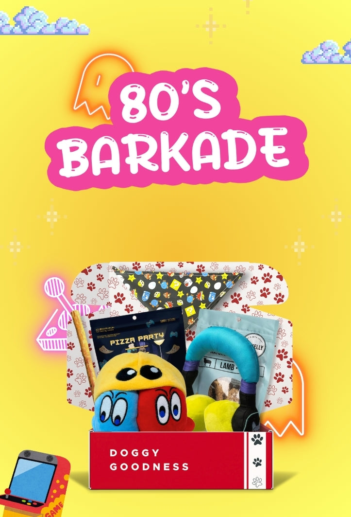 WoofCrate 80’s Barkade themed dog subscription box with retro toys, treats, and bandana