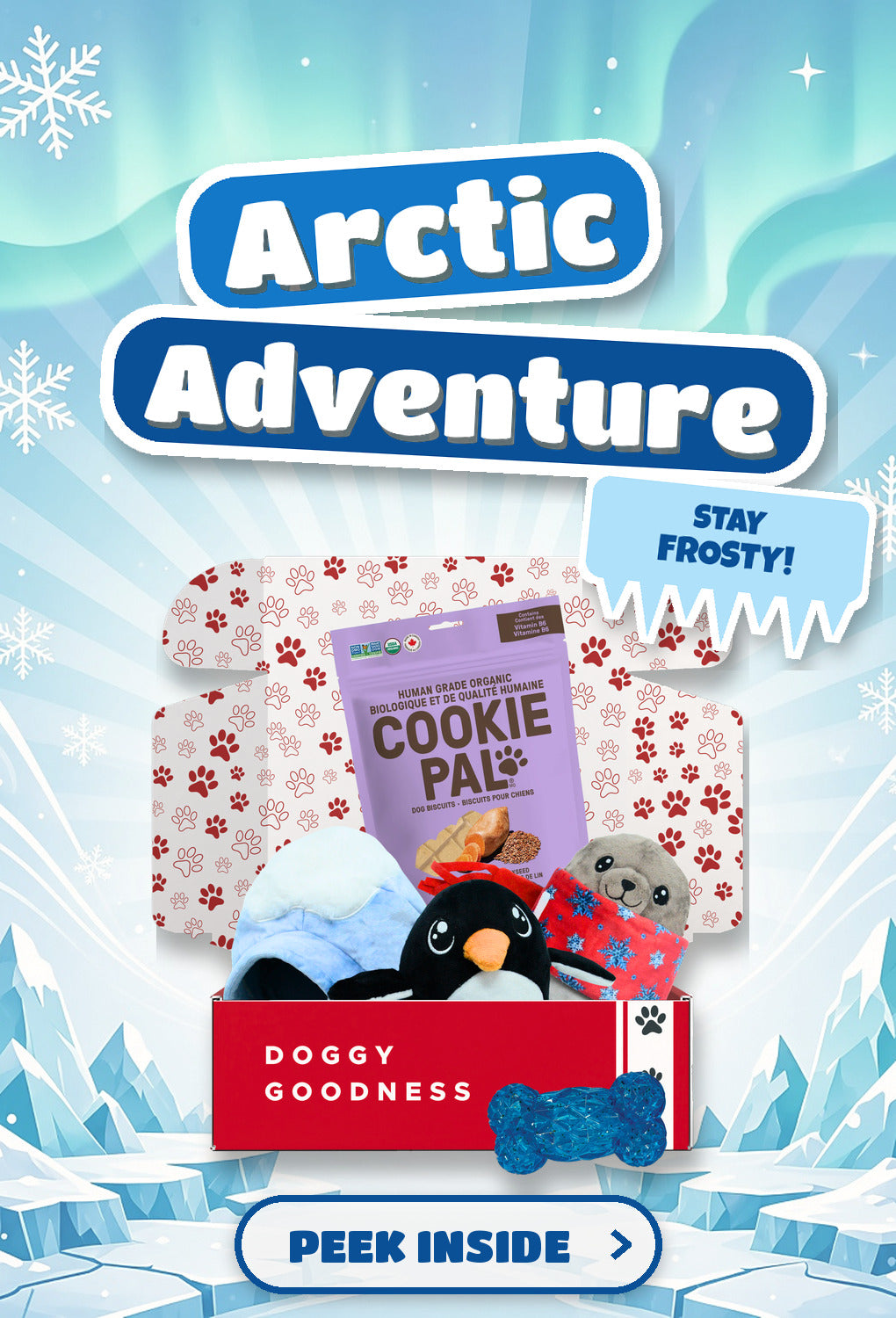 WoofCrate Arctic Adventure winter themed dog box - Peek Inside