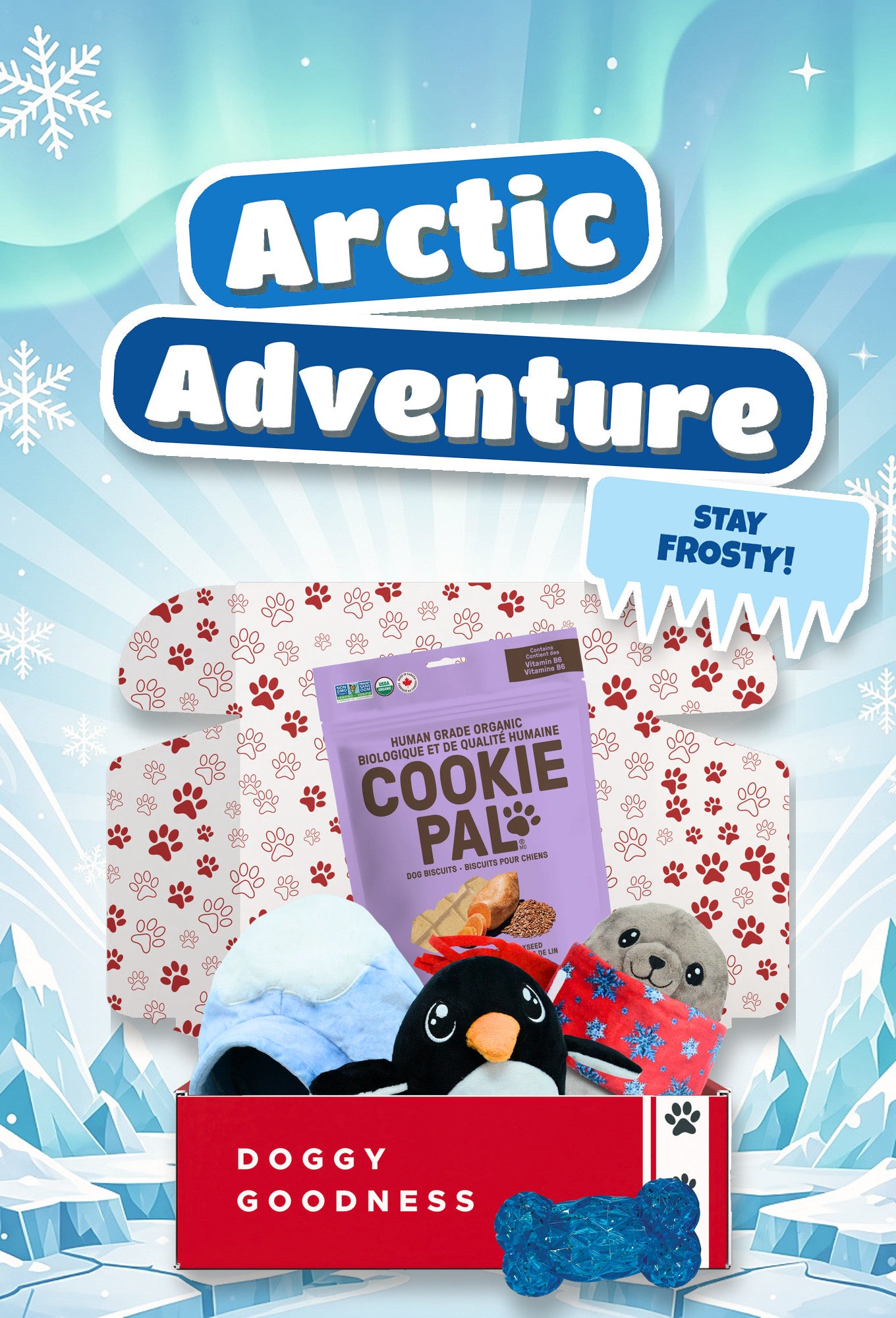 Arctic Adventure winter themed WoofCrate dog box with toys and treats